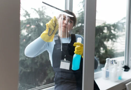 Nettoyage de vitres intérieures et extérieures à Puttelange-aux-Lacs